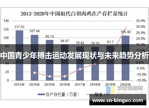 中国青少年搏击运动发展现状与未来趋势分析