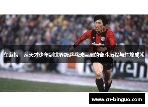车范根：从天才少年到世界级乒乓球巨星的奋斗历程与辉煌成就