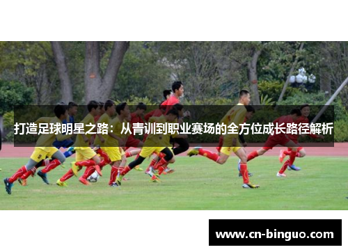 打造足球明星之路：从青训到职业赛场的全方位成长路径解析